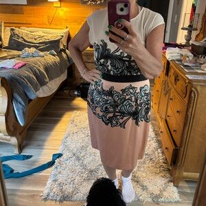 Floral Panel Midi Dress in Blush and Cream Size 14